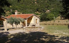 Cabañas Arguellite